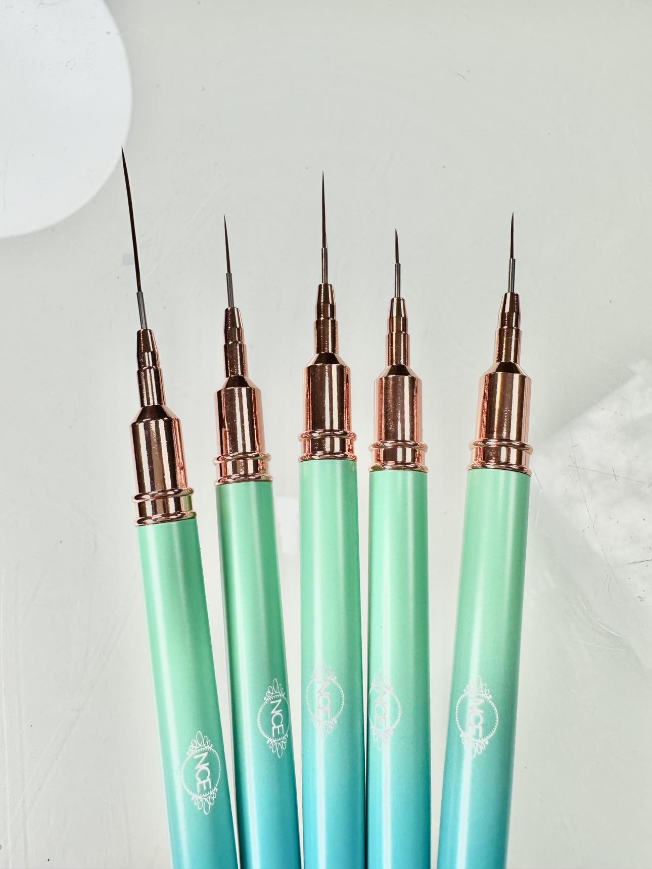 Nail Art Brush Set