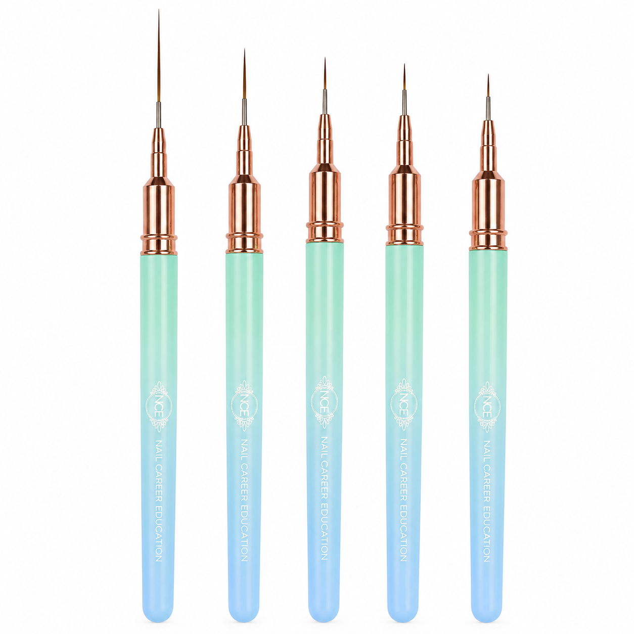 Nail Art Brush Set
