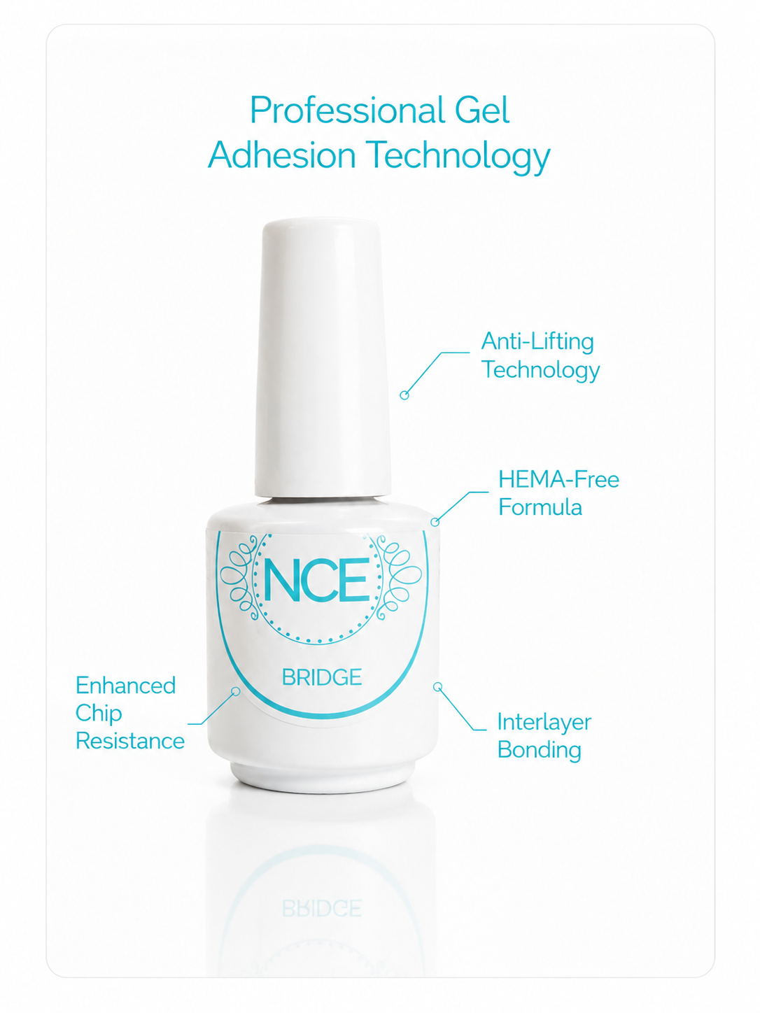 Bridge HEMA Free & Cruelty Free
