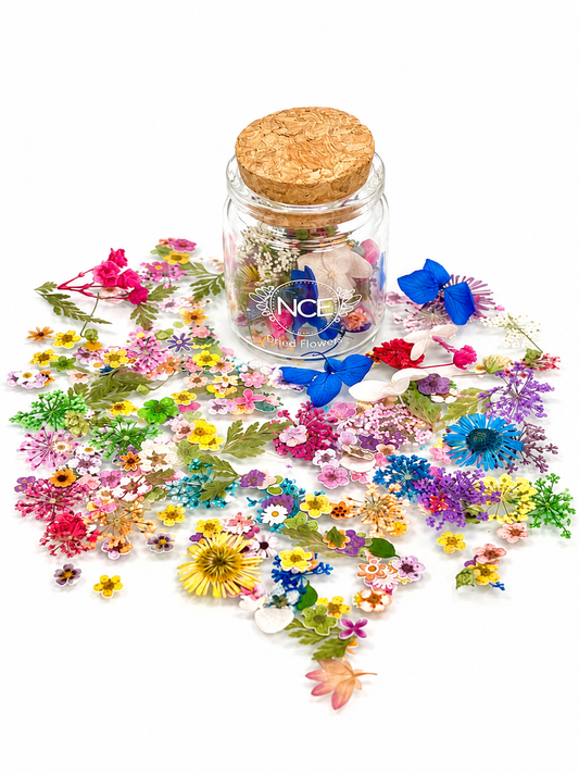 Dried Flowers