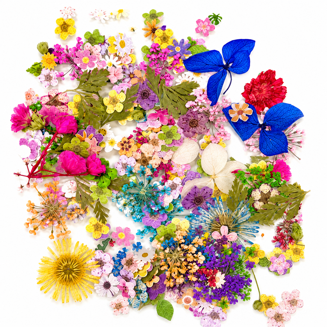 Dried Flowers