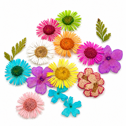 Dried Flowers