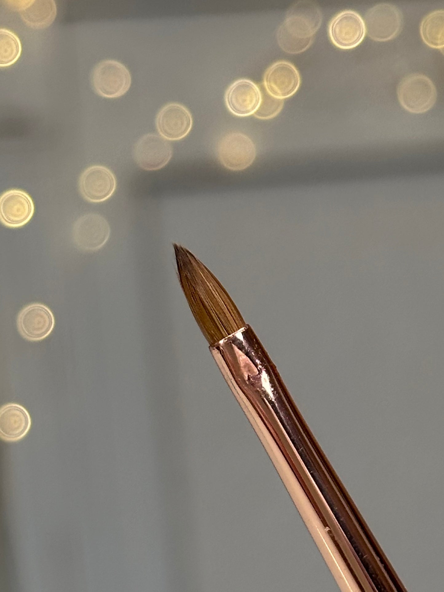 3D Petal Brush